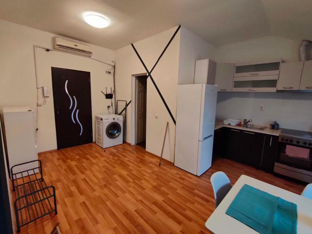 Kuchyň nebo kuchyňský kout v ubytování Iosefin House Studio