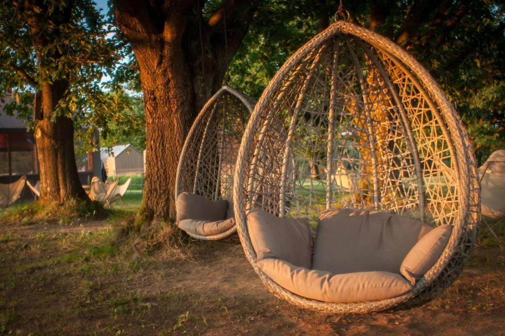 Zahrada ubytování Glamping Lucky House