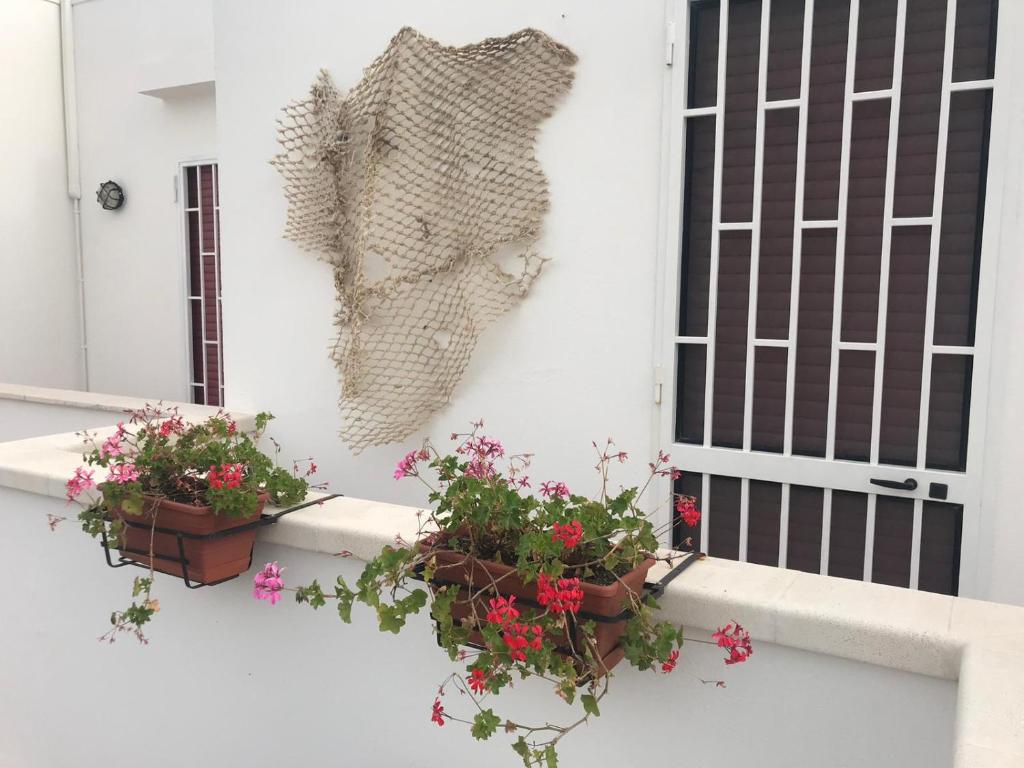 Fotografie z fotogalerie ubytování Casa Benedetta v destinaci Torre Pali