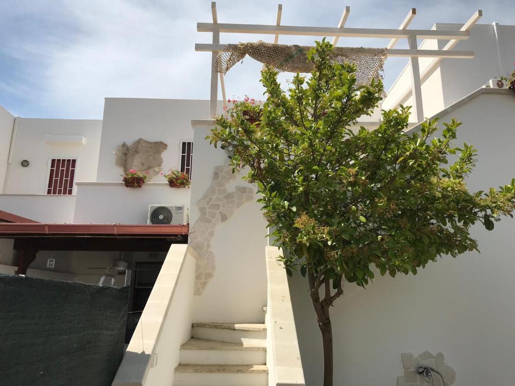 Fotografie z fotogalerie ubytování Casa Benedetta v destinaci Torre Pali