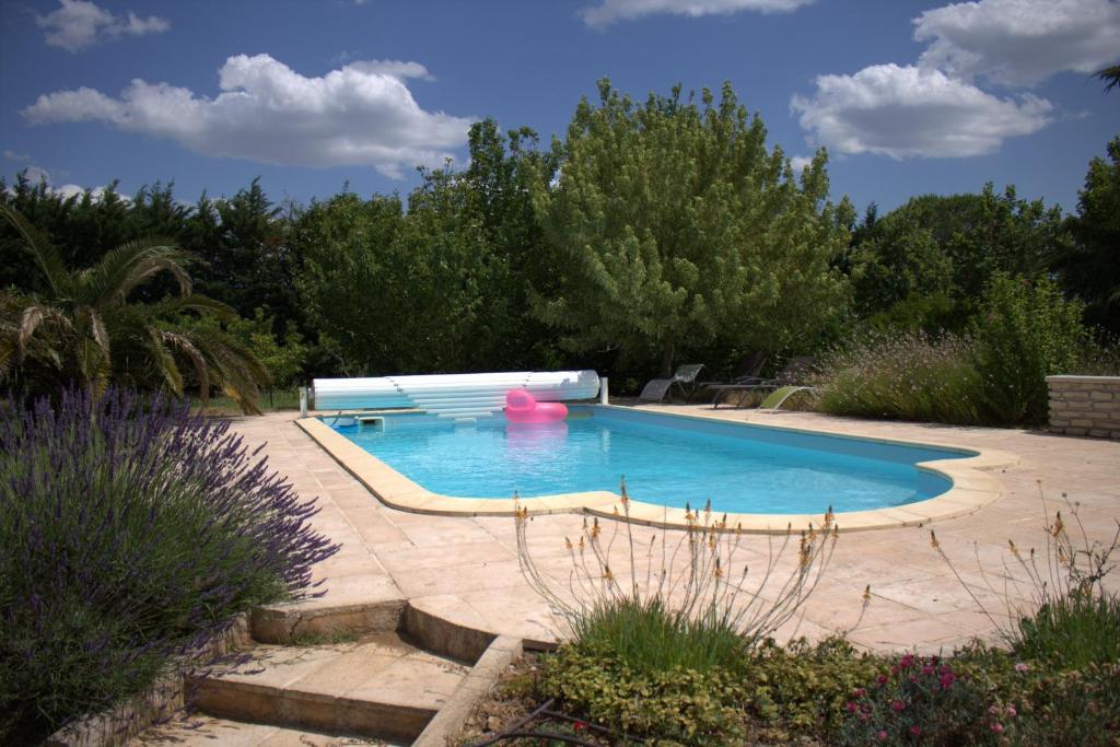 - une piscine dans un jardin avec un ballon rose dans l'établissement Gîte PMR Evasion Camarguaise, à Beauvoisin