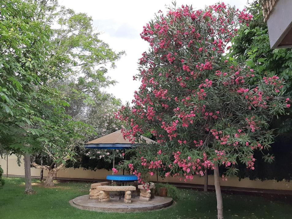 Zahrada ubytování VILLA AFRICA