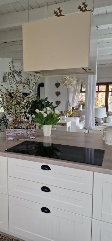 Spa Love Home Sauna Jacuzzi ROMANTYCZNY DOM DLA PARY Z PRYWATNYM SPA - Villa Met één Slaapkamer