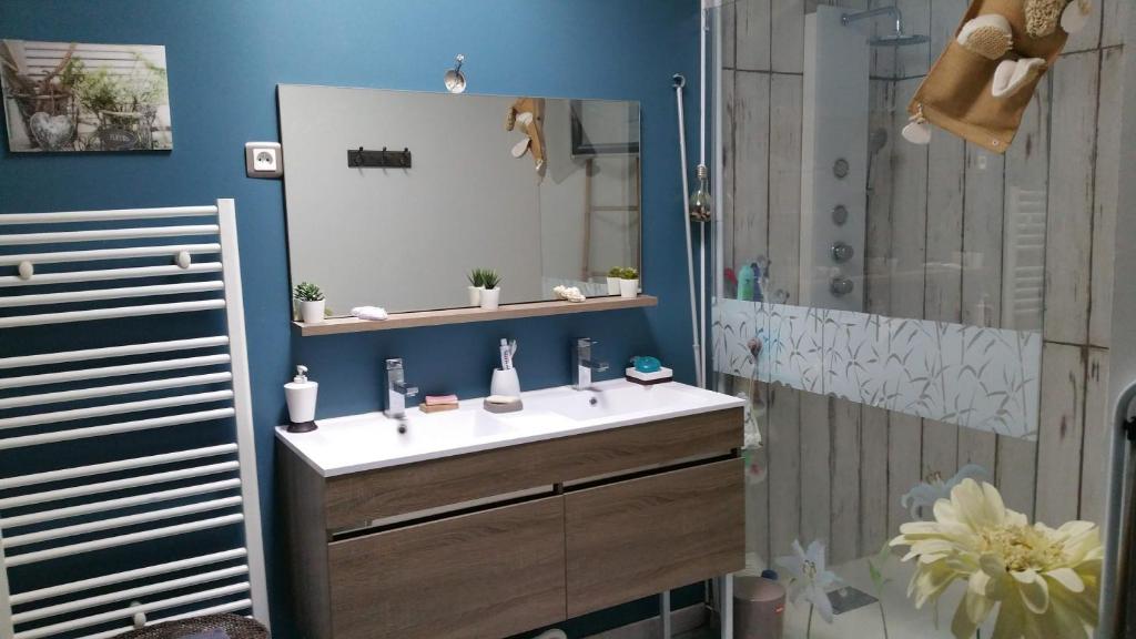 La salle de bains est pourvue d'un lavabo et d'une douche. dans l'établissement Maison de charme au calme à 10mn du centre ville, à La Rochelle