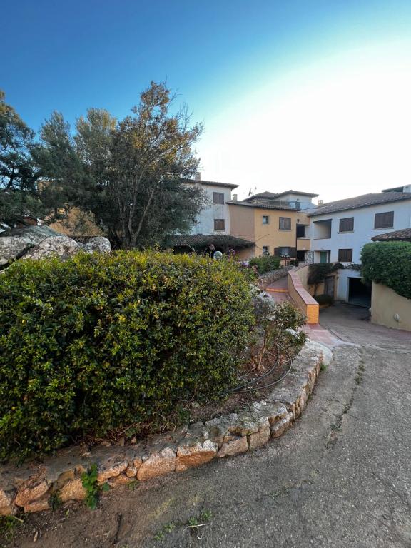 Booking.com: Appartamento Elicriso , Porto Rotondo, Italia - 10 Giudizi  degli ospiti . Prenota ora il tuo hotel!