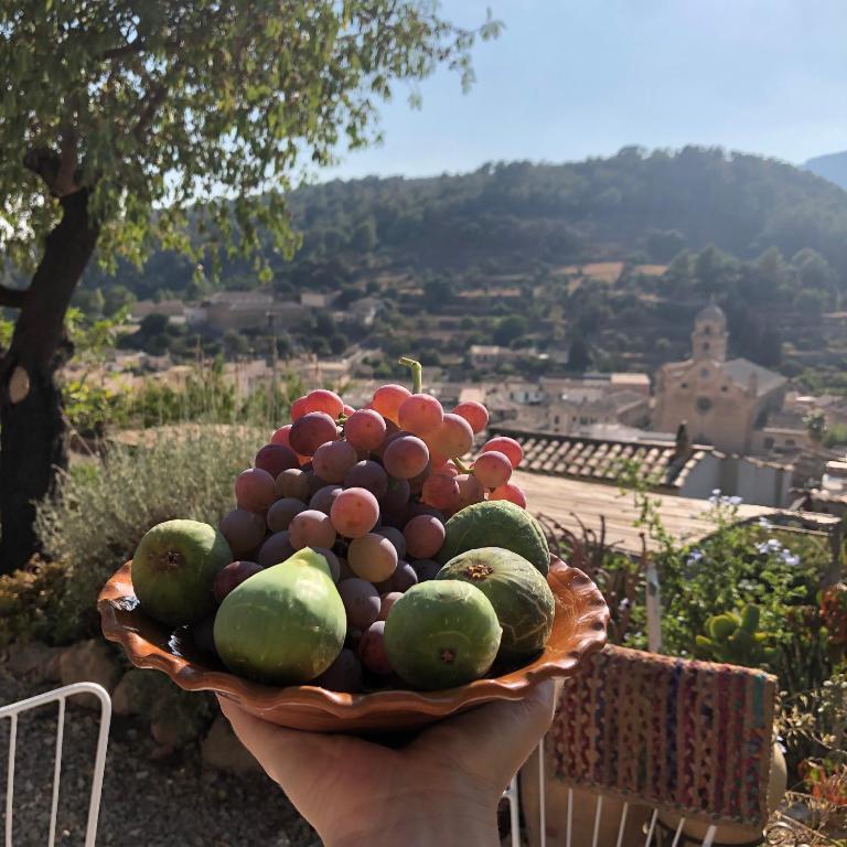 Fotografie z fotogalerie ubytování Sky Garden Mallorca - Ca'n Tomeu v destinaci Bunyola