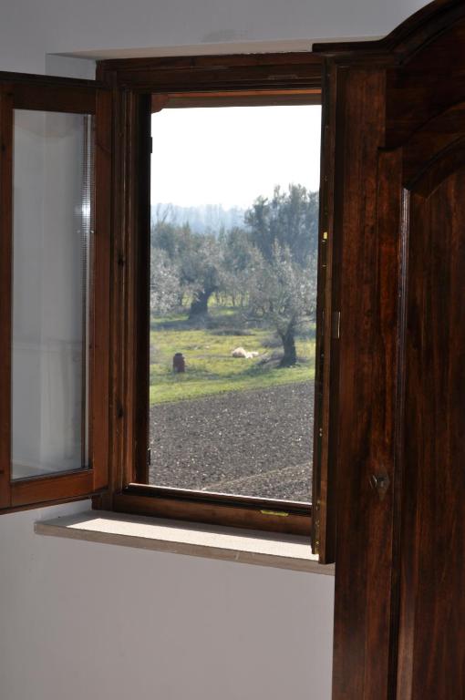 Fotografia z galérie ubytovania Agriturismo La Colombaia v destinácii Capua