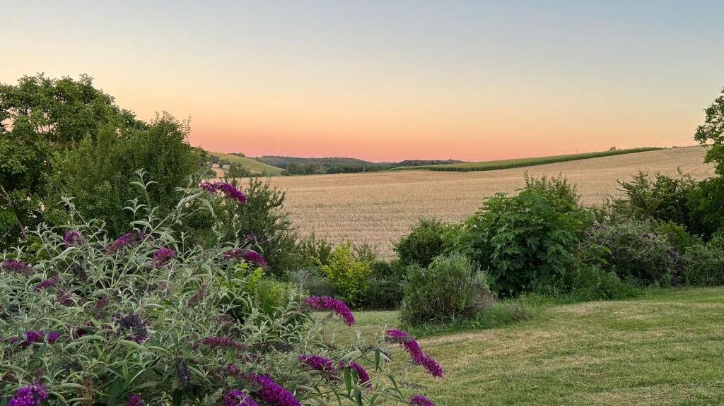 Przyroda w pobliżu tego obiektu B&B