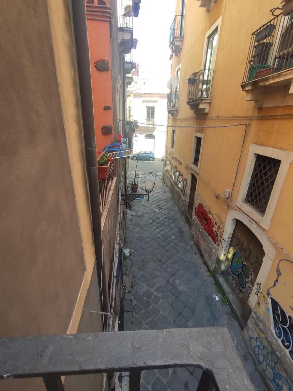 Casta Diva Holiday Rooms - 7