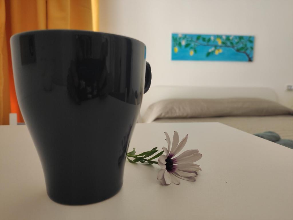 Casta Diva Holiday Rooms - 12