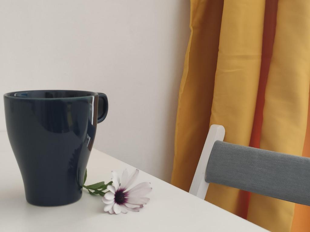 Casta Diva Holiday Rooms - 5