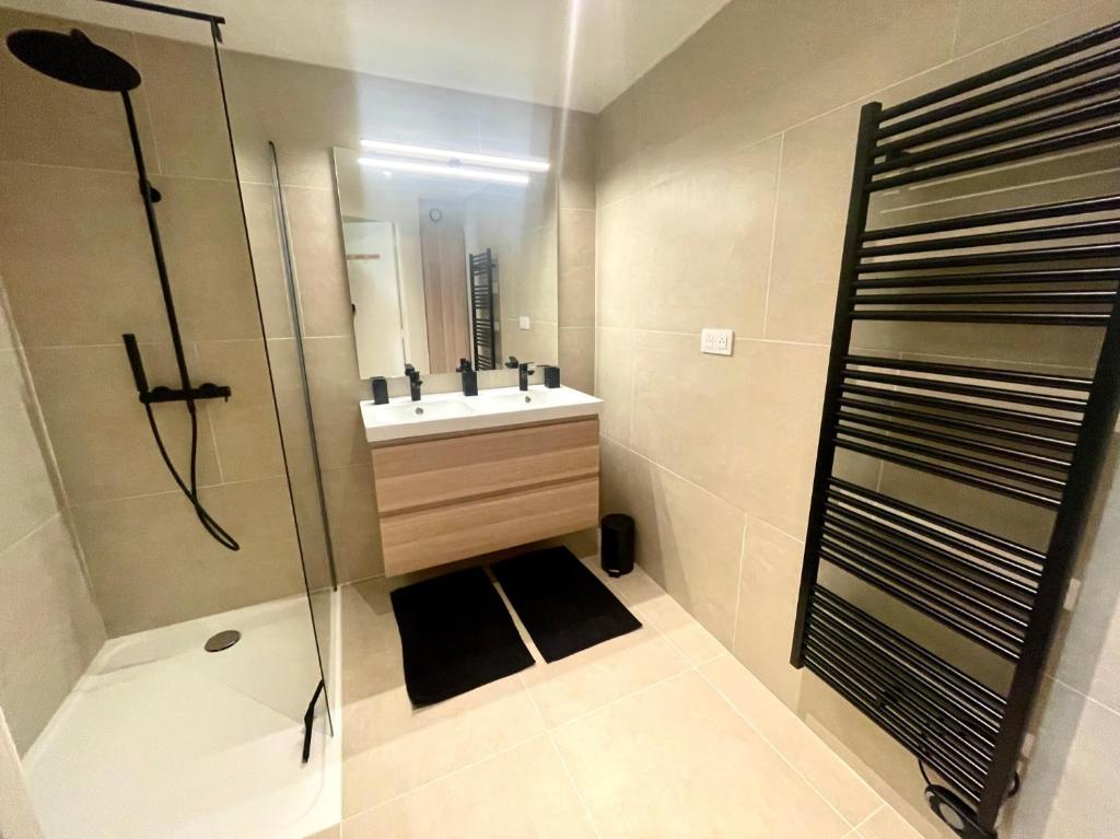 a bathroom with a sink and a glass shower at Charmant logement rénové dans l’hyper centre in Auxerre