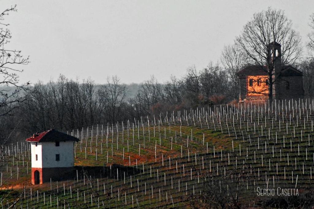 Fotografia z galérie ubytovania MaMAn v destinácii Montà