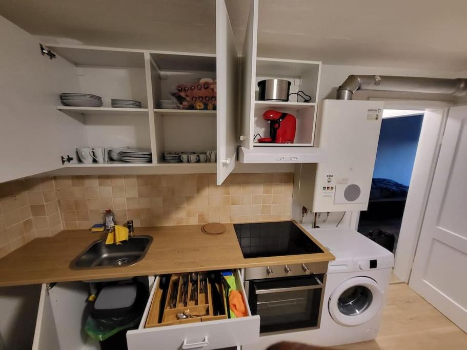 eine kleine Küche mit Spüle und Waschmaschine in der Unterkunft Traumferienwohnung in Bad Friedrichshall in Bad Friedrichshall