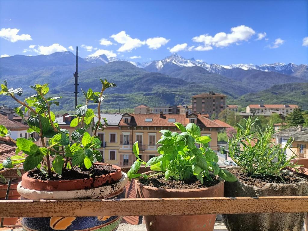 a group of plants sitting on a balcony with mountains at Appartamento in bassa montagna a Bussoleno in Bussoleno