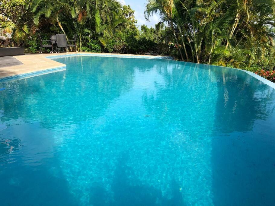 a large blue swimming pool with trees in the background at YOU WELCOME VILLA in Case-Pilote