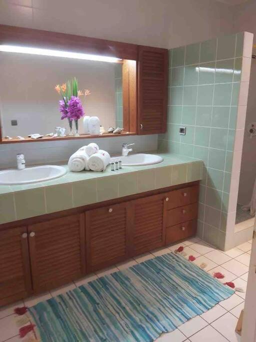 a bathroom with a sink and a mirror at YOU WELCOME VILLA in Case-Pilote