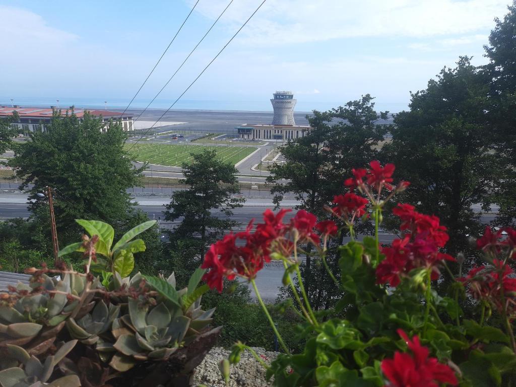 uma vista para um farol com flores no primeiro plano em CANOKA SUIT 