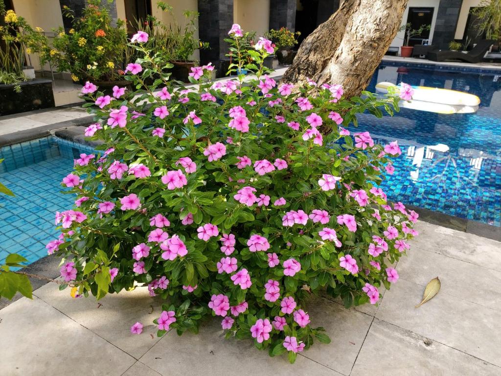 Bazén v ubytování Radha Bali Hotel nebo v jeho okolí