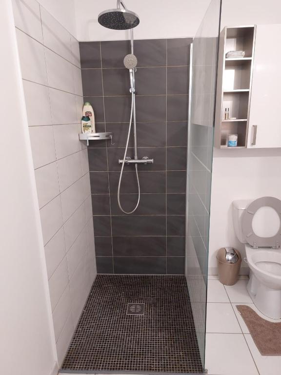 Kúpeľňa v ubytovaní Charmant Studio La Ville Du Bois