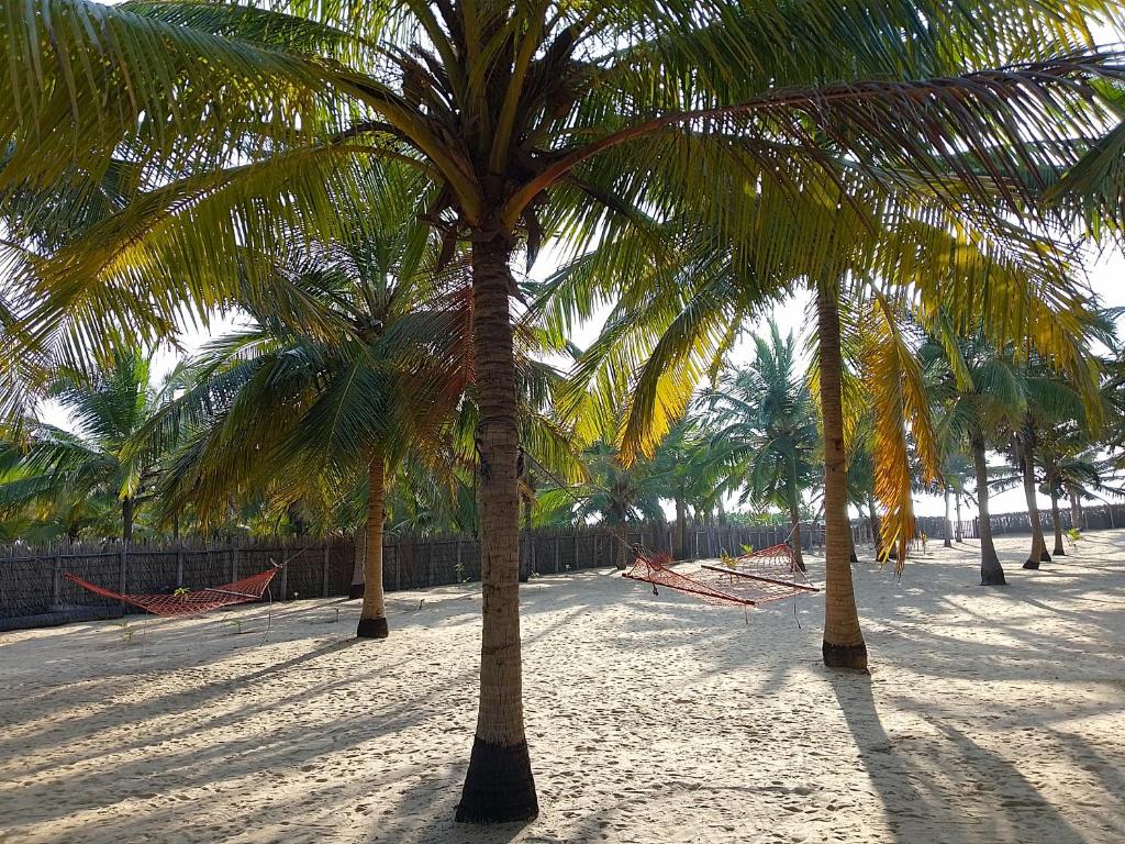 Fotografie z fotogalerie ubytování Nayan's Paradise v destinaci Kottanitivu