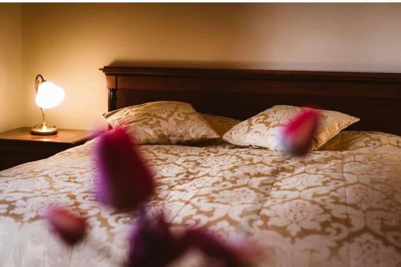 Postel nebo postele na pokoji v ubytování Hotel Strk