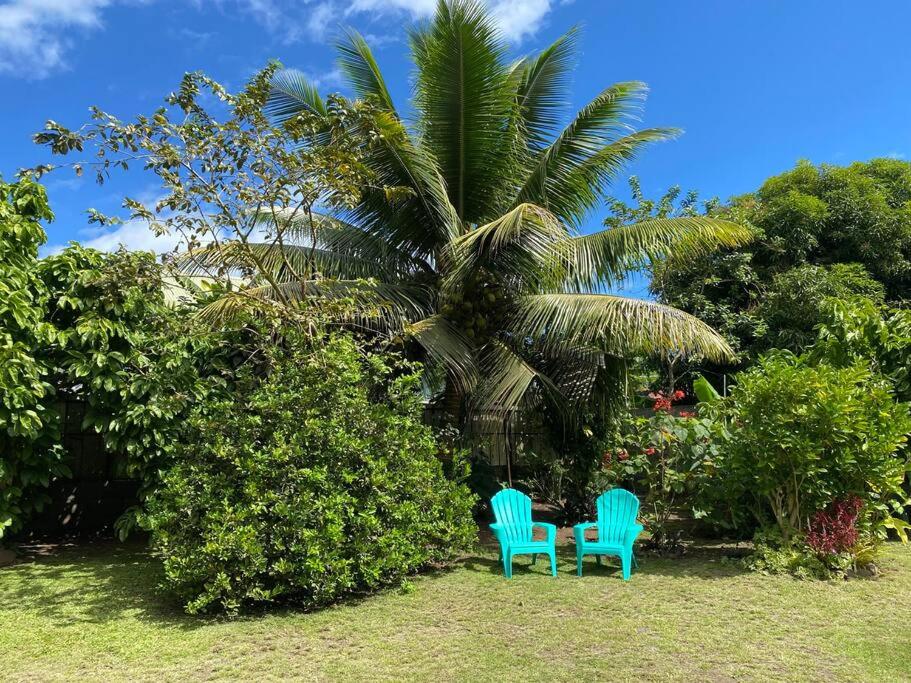 Ana iti Lodge PAEA Tahiti - photo 6 - Tahiti, Polynésie