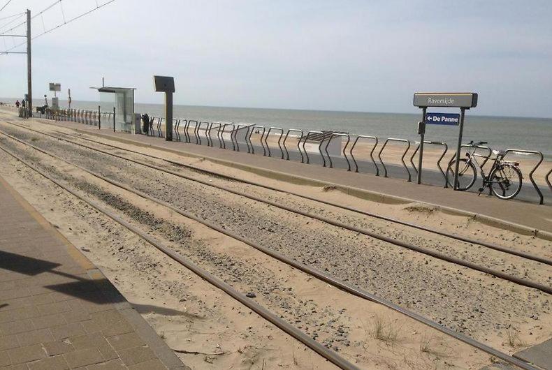 Příroda nedaleko kempu