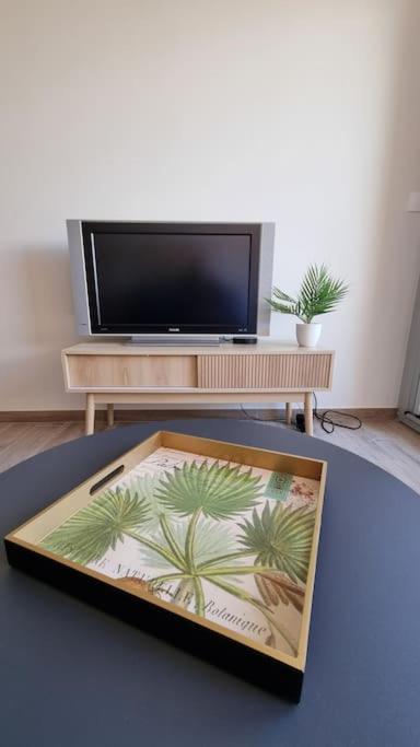 stół z tacą, na której znajduje się obrazek palm w obiekcie Magnifique Studio sur le Port de Gruissan (2 à 4 pers) w mieście Gruissan