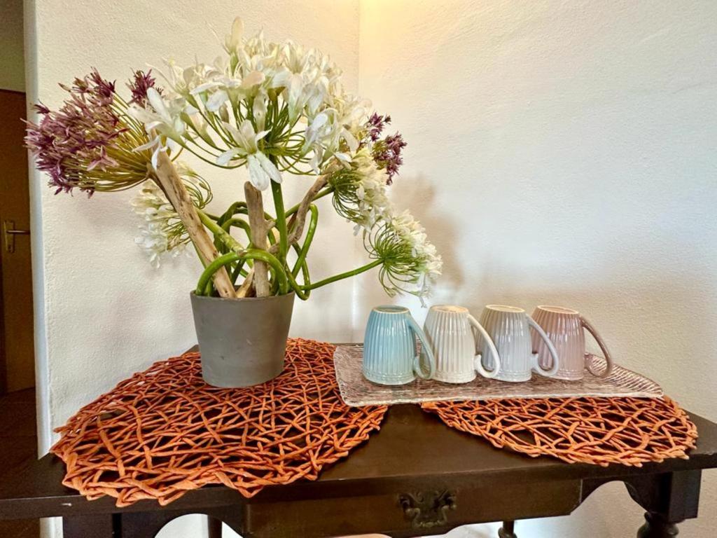 Fotografie z fotogalerie ubytování La Casa di Filippo v destinaci Quercianella