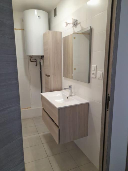 Kúpeľňa v ubytovaní Appartement lumineux et central