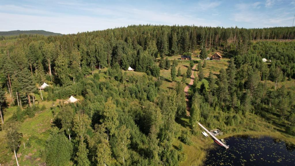 an aerial view of a forest with a house and a lake at Frisbo Lodge - Glamping tent in a forest, lake view in Bjuråker