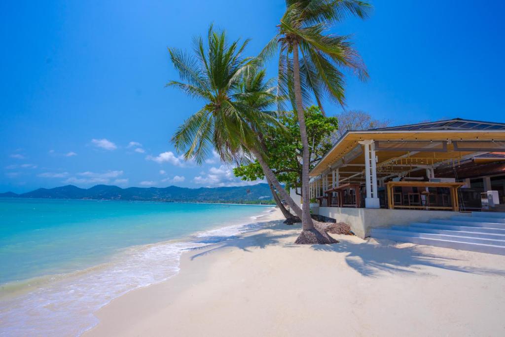 een resort op een strand met palmbomen en de oceaan bij Chaweng Regent Beach Resort in Chaweng Beach