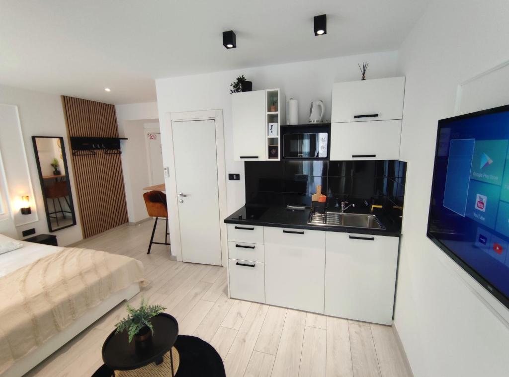 Kuchyňa alebo kuchynka v ubytovaní Alegra Apartments Center