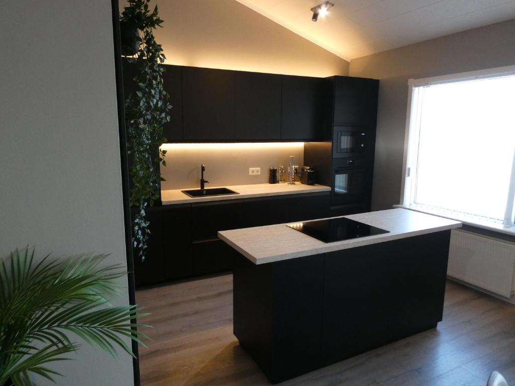 una cocina con armarios negros y fregadero en Northberg Apartments, en Keflavík