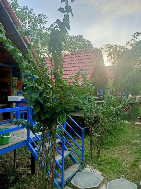 Zahrada ubytování Ngọc Tiên Farmer Eco Lodge Cat Tiên