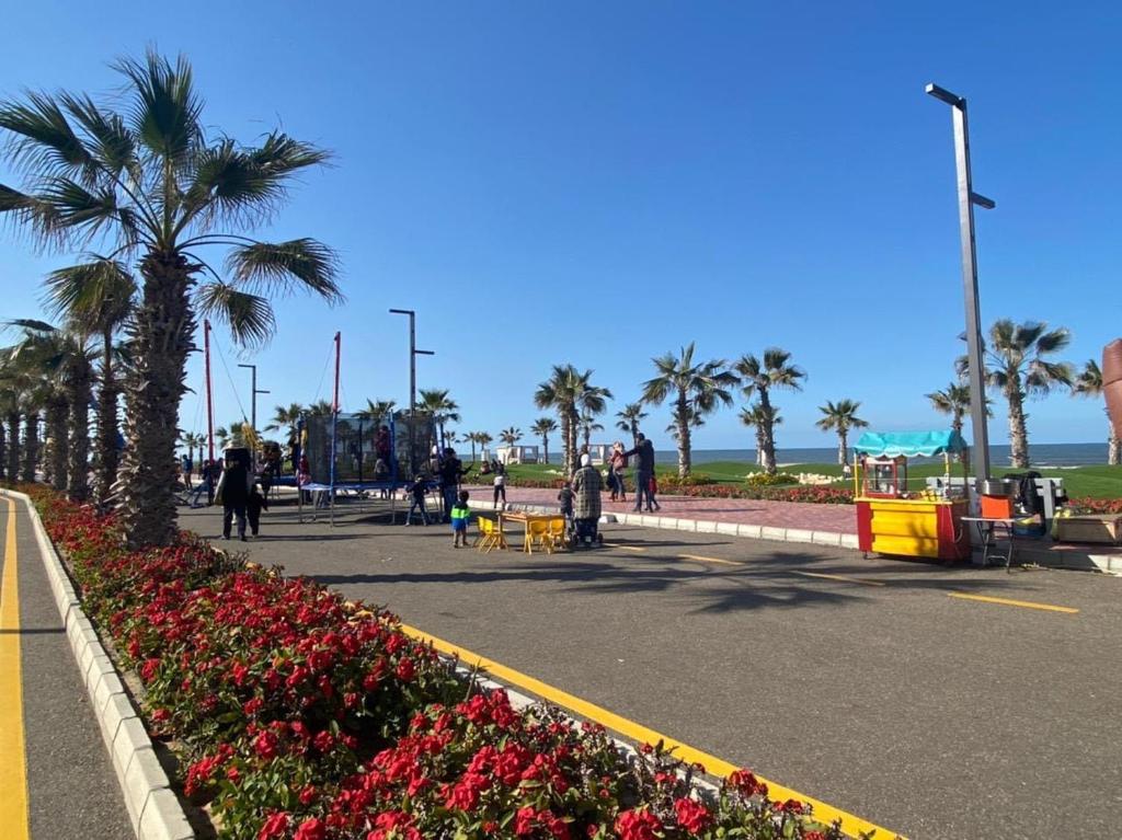 - un parc avec des fleurs et des palmiers sur la plage dans l'établissement Porto Said Resort Rentals, à Port-Saïd