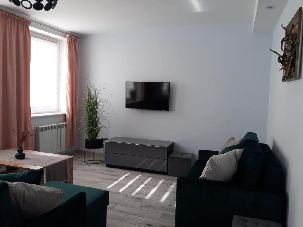 Televízia a/alebo spoločenská miestnosť v ubytovaní Apartament do wynajęcia