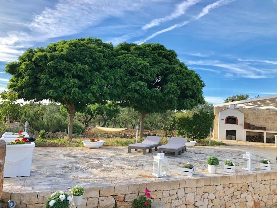 uma grande árvore com duas cadeiras e um banco em Villa Catia em Alberobello