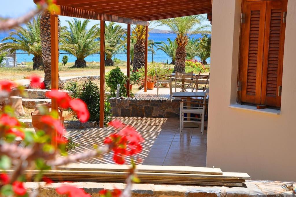 eine Terrasse mit Blick auf das Meer und Palmen in der Unterkunft Olga Studio Kouremenos in Palekastro