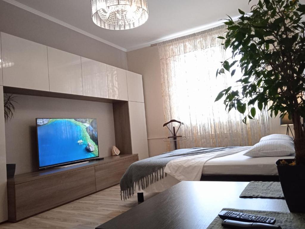 Центр, 2 кімнати, Смарт ТВ, Документи Парковка фото 5
