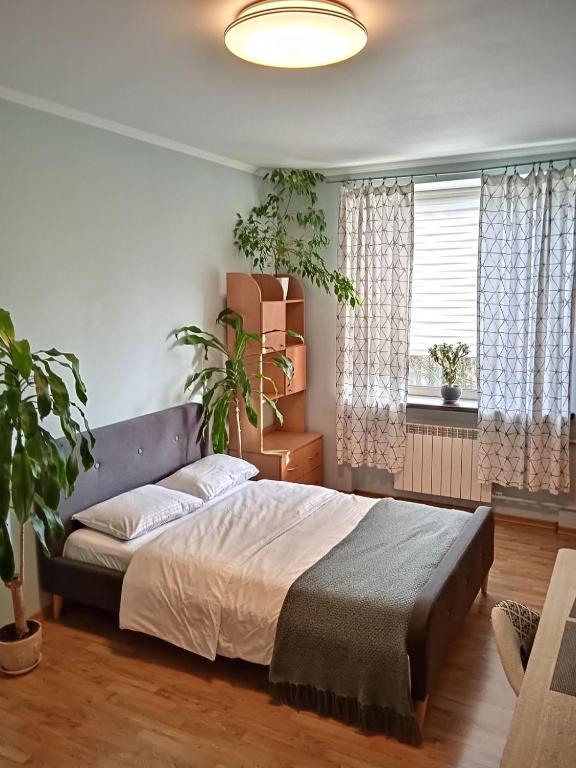 Центр, 2 кімнати, Смарт ТВ, Документи Парковка фото 7