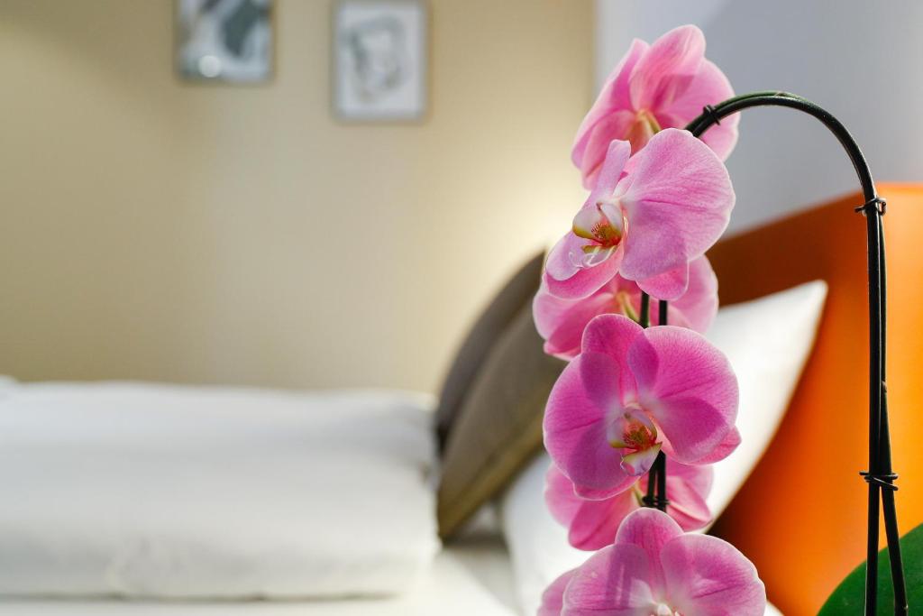 Boutique Hotel Piazza Grande - Resim 33