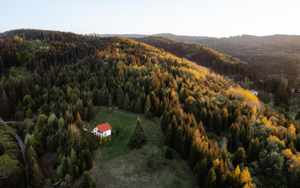 a house in the middle of a forest of trees at Casa Cifu Toplita in Topliţa