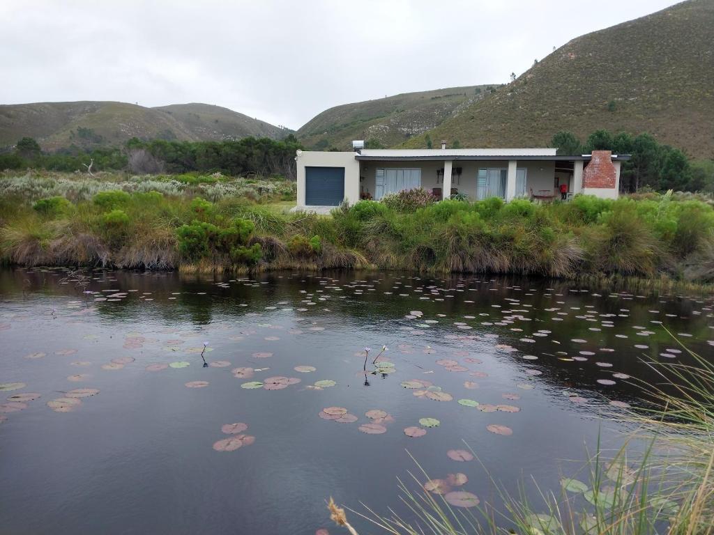 a house in the middle of a pond with lilies at Blombos Self-Catering House in Franskraal