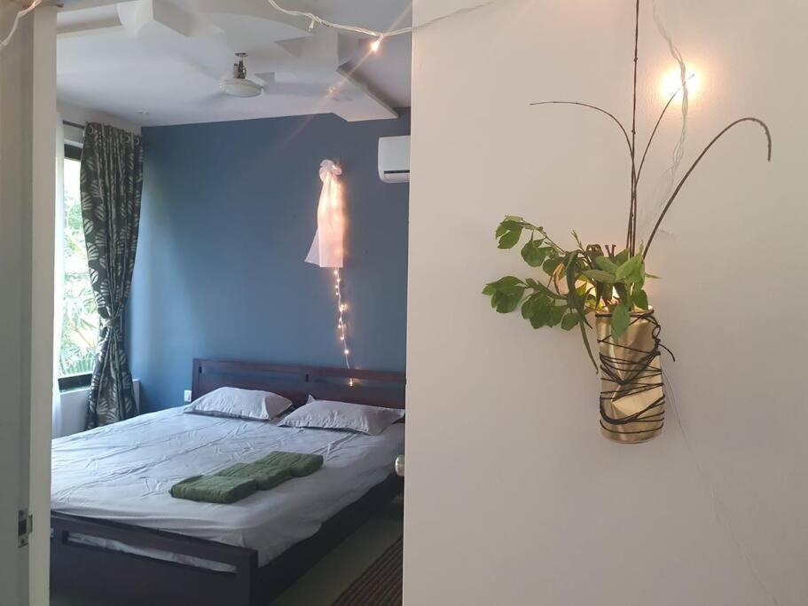 Palolem Luxury Apartments في محطة كاناكونا: غرفة نوم بسرير و مزهرية بها نبات