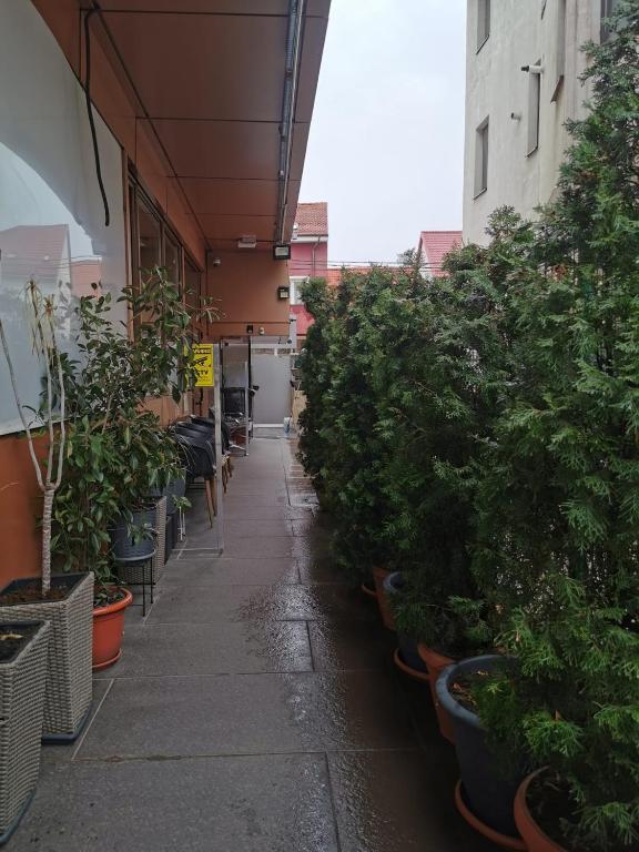 Nevis Fundeni - Resim 20