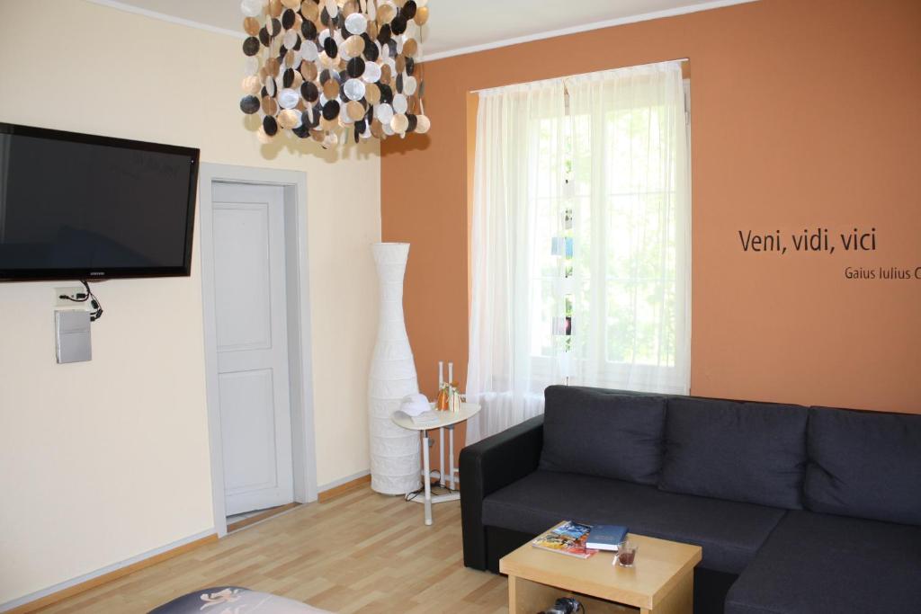 TV a/nebo společenská místnost v ubytování Hotel Krone Sihlbrugg