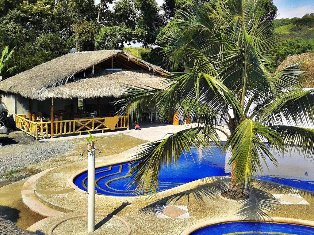 un complejo con una palmera junto a una piscina en Rio Suites, en Tonsupa