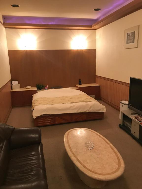 TV a/nebo společenská místnost v ubytování Hotel Sagano (Adult only)